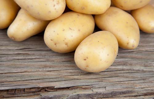 Kartofler med resistent stivelse